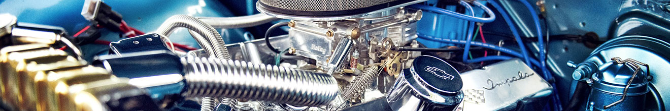 Rede J. Amaral - Sobre